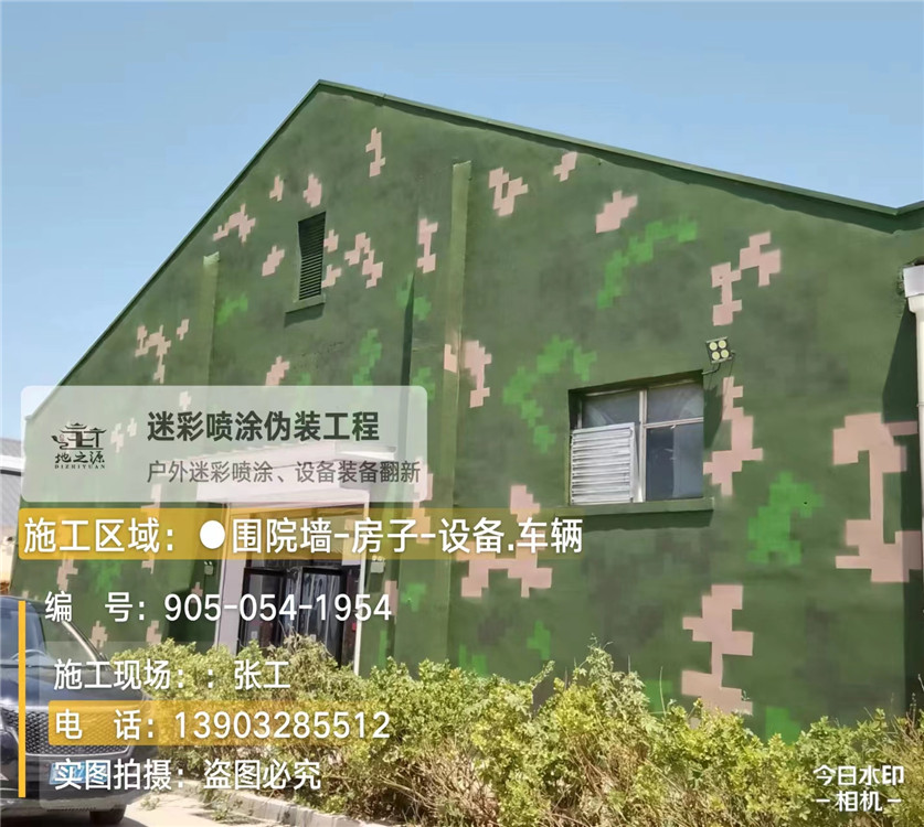 盐城外墙数码迷彩漆施工报价清单(100㎡标准墙面测算)